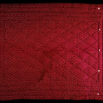 Photo: Tamino Petelinsek, Tamino7@gmail.com Videm Dobrepolje, 2023