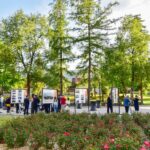 492966054 1218071353446572 7310010162886453170 N