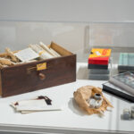 Drago Mohar 20251114 12